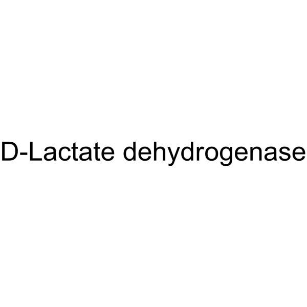 D-Lactate dehydrogenase (D-LDH) 9028-36-8
